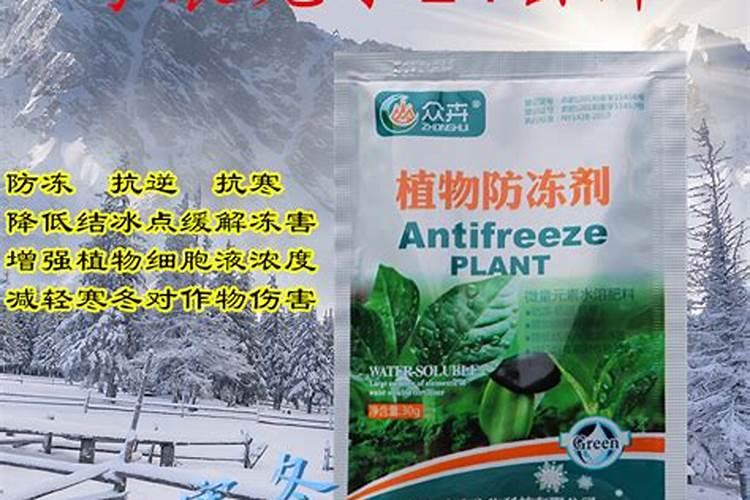 连续阴雨天应该给植物补充什么叶面肥