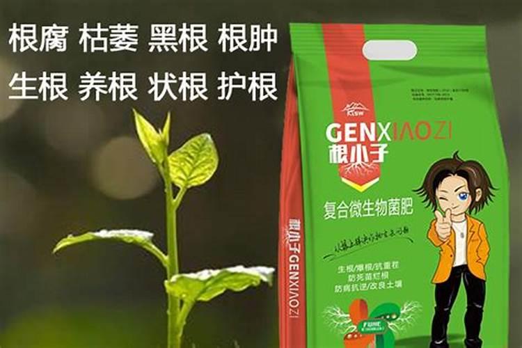 稻黄金叶面肥对水稻效果好吗