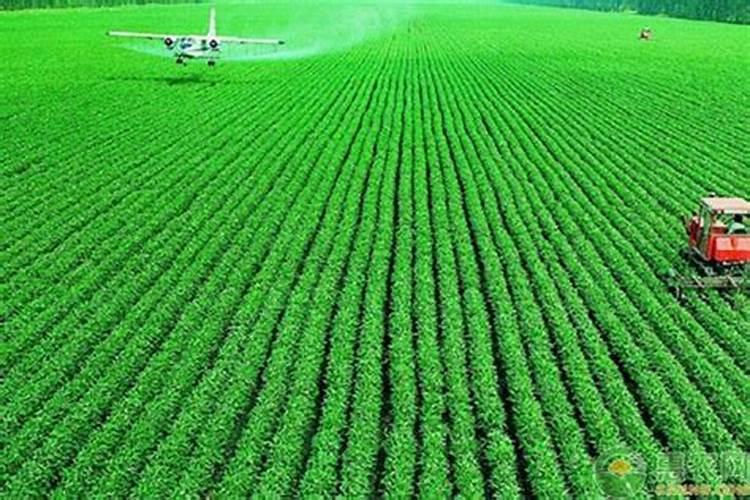 豪实粒可以防治大豆重茬发生吗？
