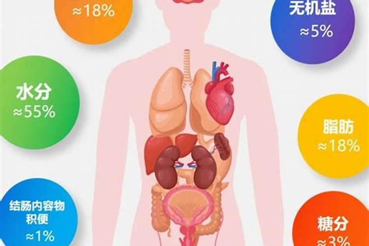 鱼蛋白胶囊鱼蛋白的成分及生理功效