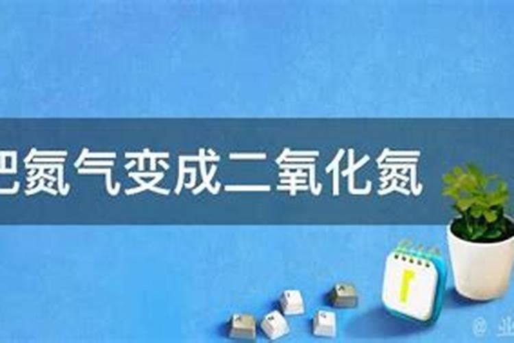 硝态氮肥有哪些