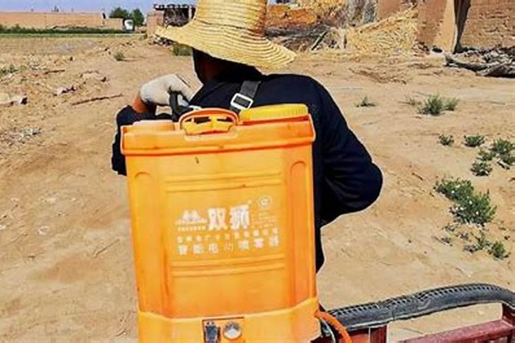 玉米能用杀菌的药吗