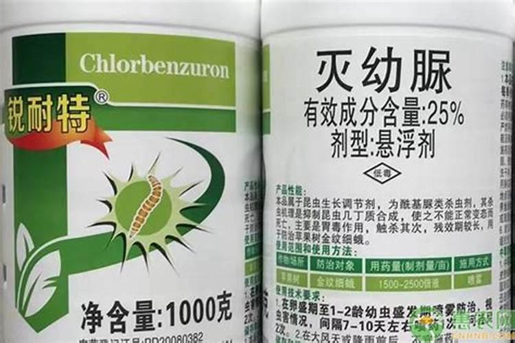 红枫干枝病怎么治