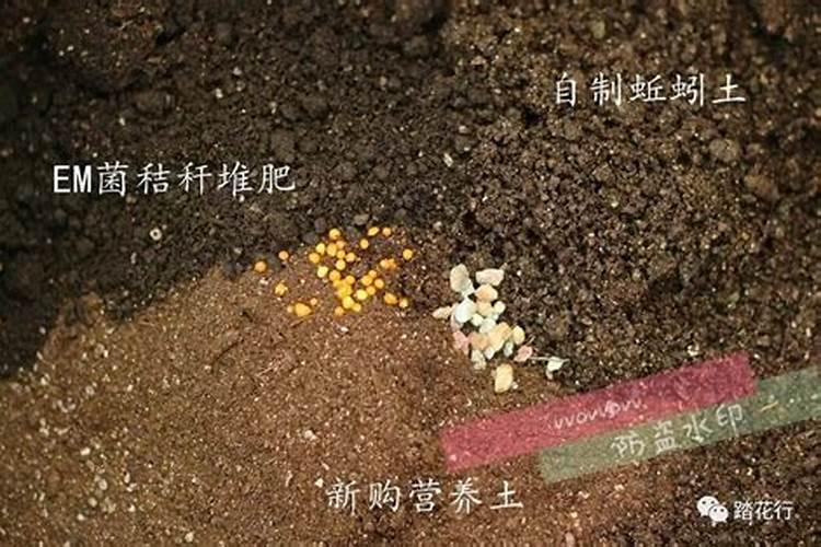 土壤板结的概念,原因,后果,如何消除？