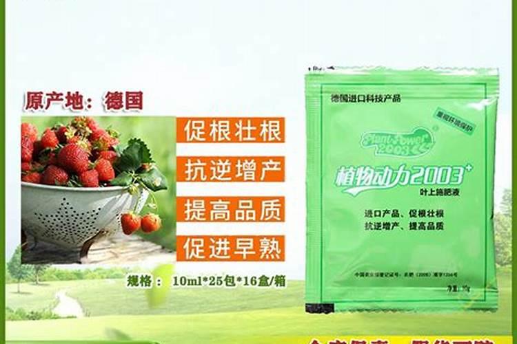 水培植物叶子发黄没劲生长,用什么肥料最好？