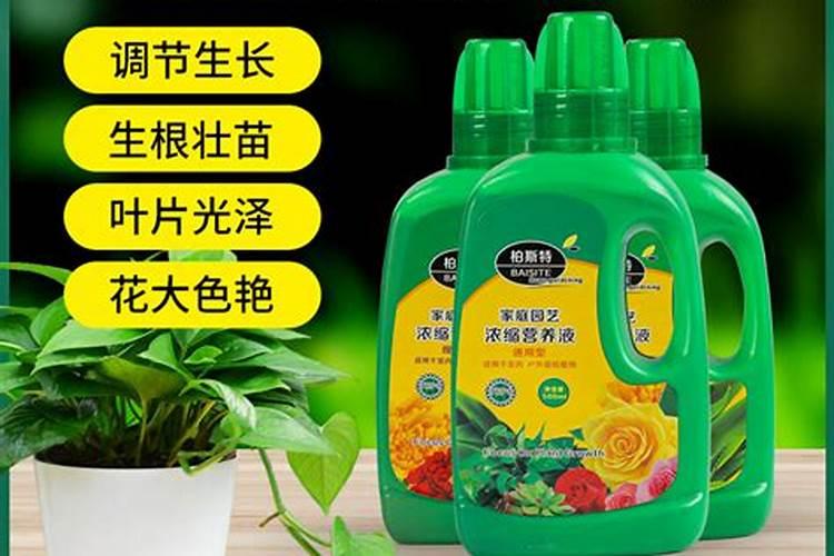 用有机肥好还是用营养液好呢？