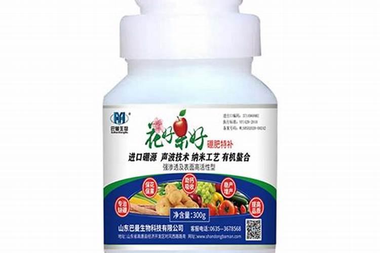 兰花如何用硼肥
