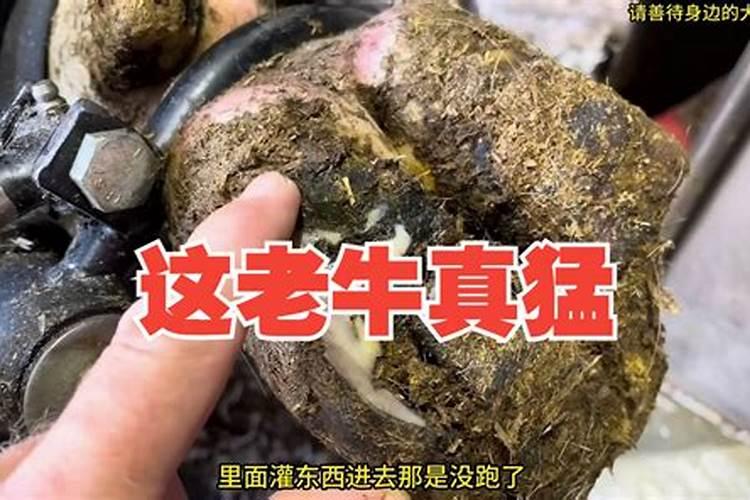 磷钾肥料的有哪些