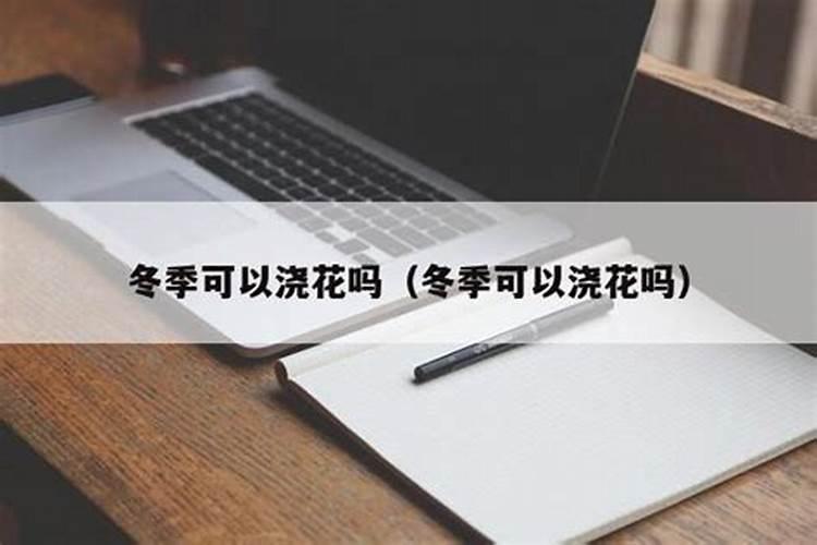 小玉树怎么养