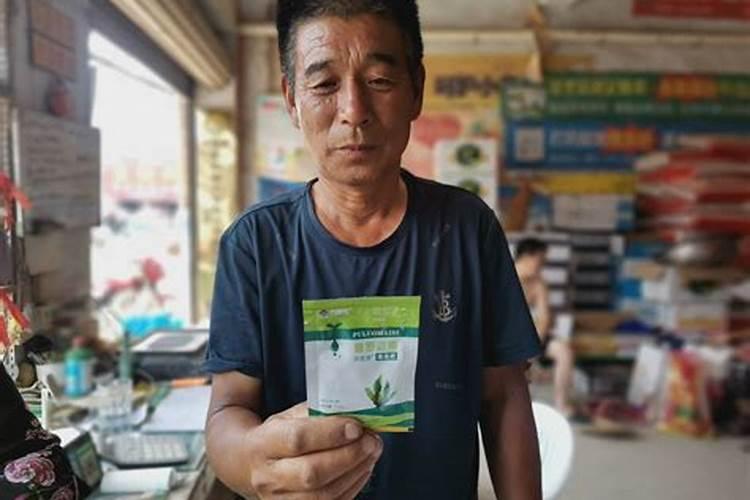瓜果蔬菜喷叶面肥有什么好处(蔬菜叶面肥什么时候喷好)