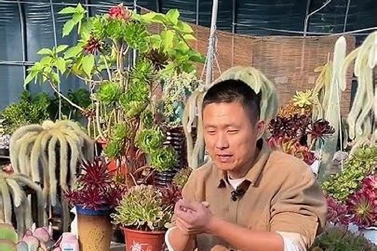 冬季下雪天可以使用水溶肥吗
