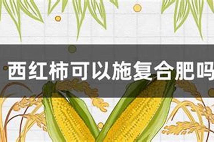 高磷肥料有哪些 什么是高磷肥
