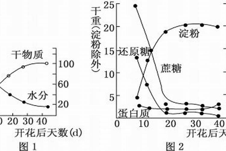 南瓜籽对您有好处吗？