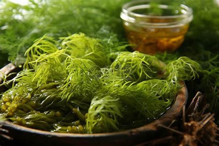 广东能不能种植香印青提？