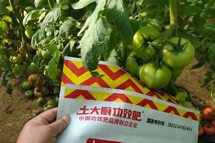 施用硅肥给你惊喜!玉米为什么要喷施硅肥,都有哪些好处？