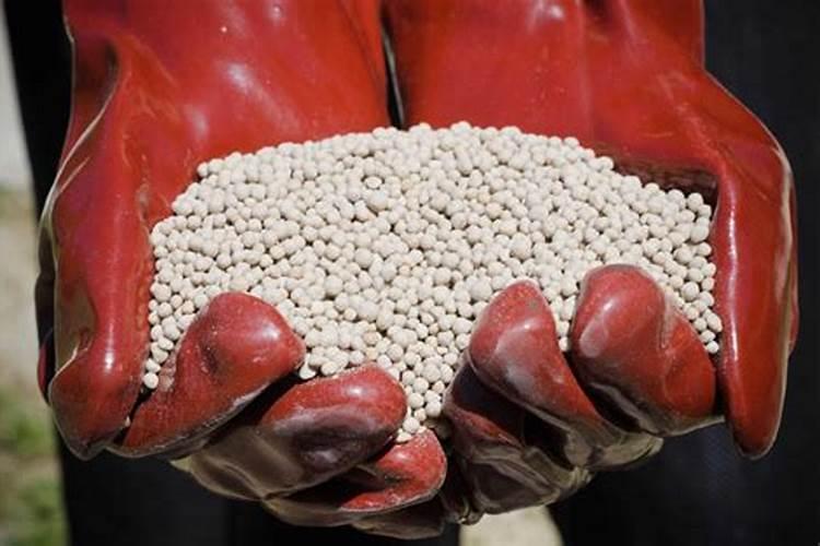 不能与碱性物质混合使用的常见化肥是什么？求解答