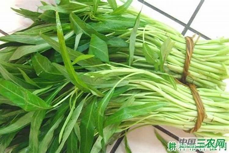 空心菜几天施一次肥