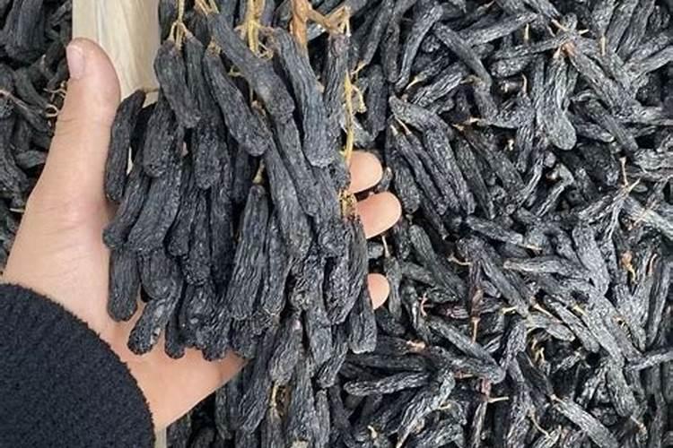 蓝宝石葡萄高产栽培技术
