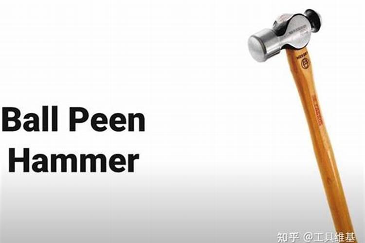 铁树的繁殖方法