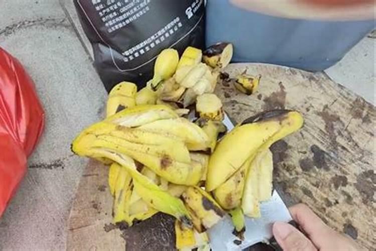 香蕉皮做花肥含氮磷钾哪种多 香蕉皮做花肥适合什么花