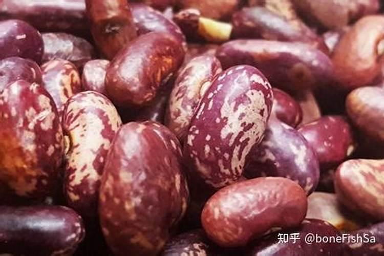 秋红芸豆多少天开花结角？