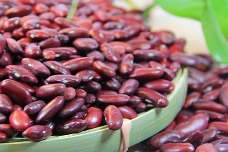 芸豆是碱性食物还是酸性食物？