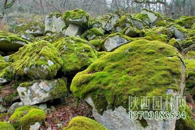 生物有机肥用于每亩土地的合适用量是多少