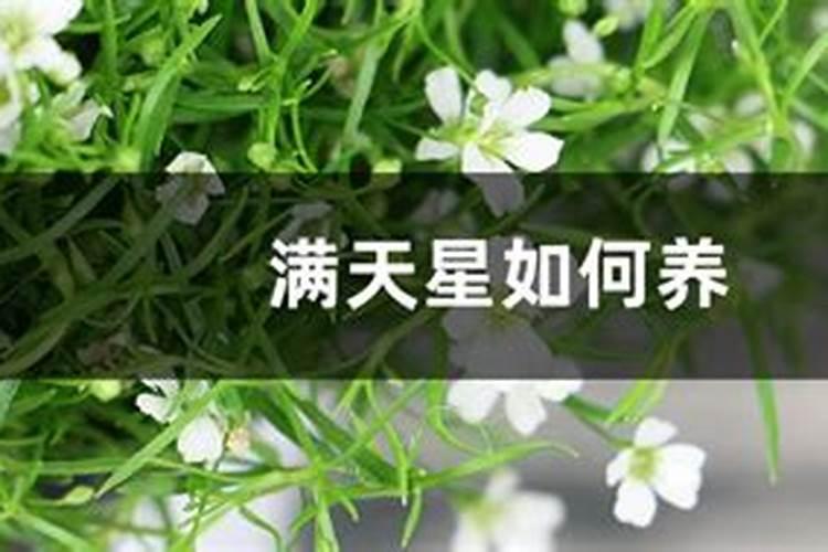 有机叶面水溶肥的配方