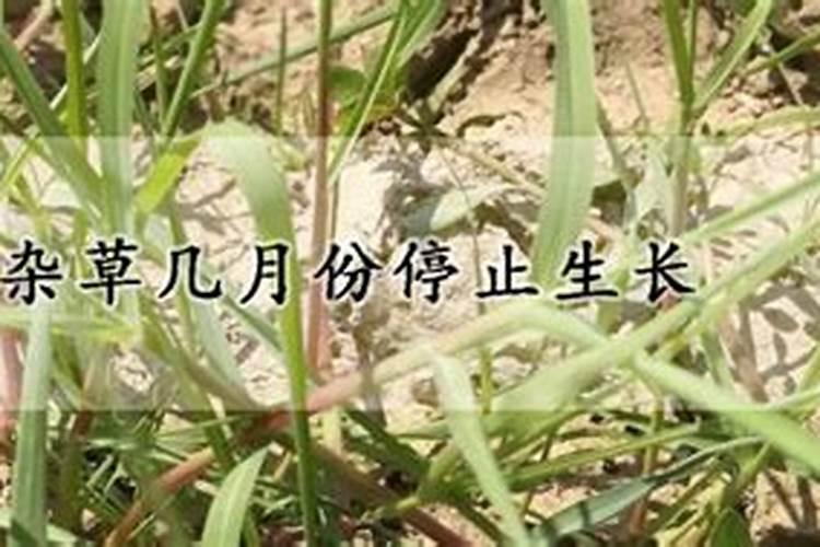 气温低于多少度不能施肥？