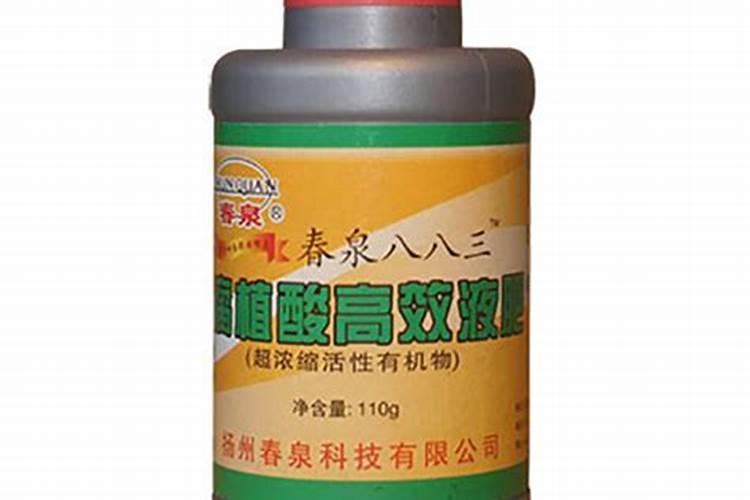 黄瓜一架双茬高产栽培技术 黄瓜水肥管理技巧