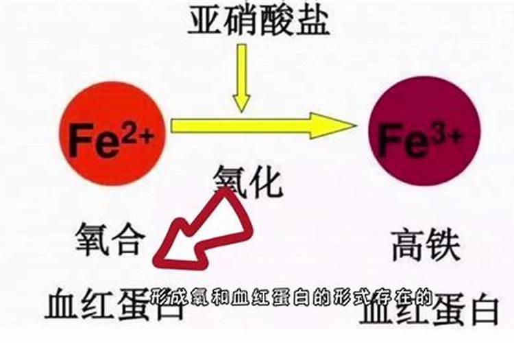 微量元素肥料有哪些
