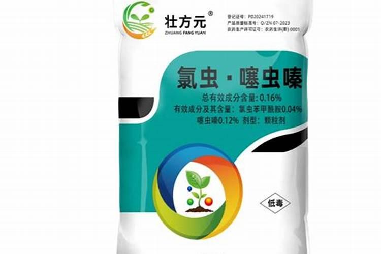 护坡高羊茅种子多少钱一斤