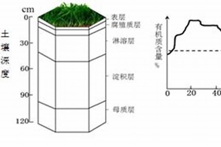 土壤肥力检测标准