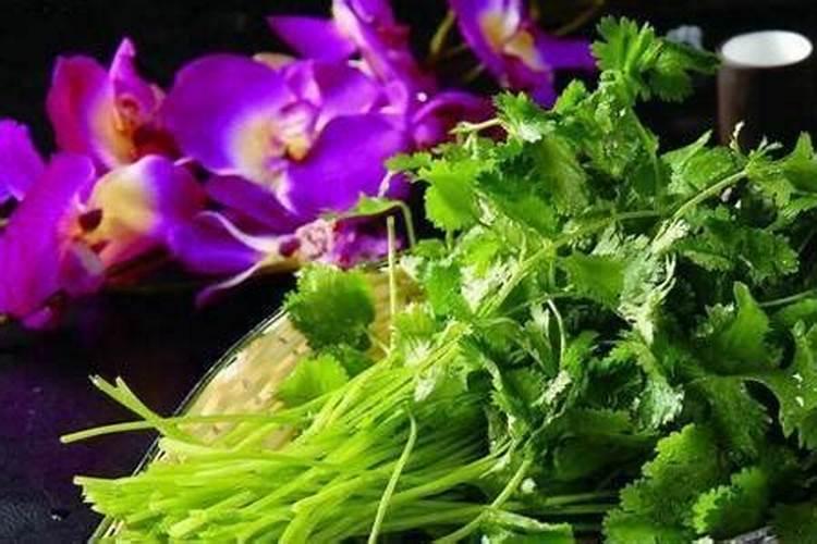 香菜用什么土方法施肥最好