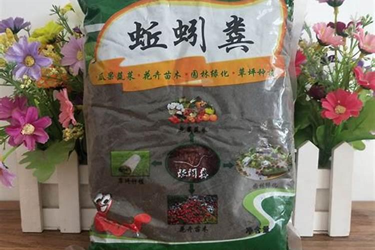 土里撒点“肥王”