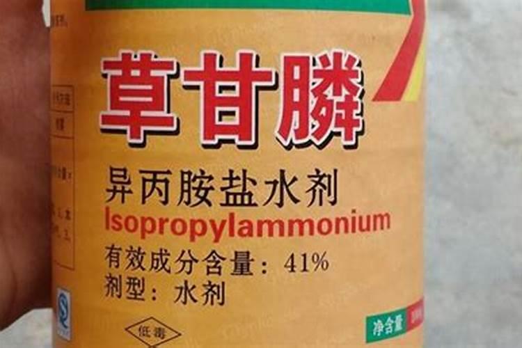 草甘膦药害了韭菜怎么解？