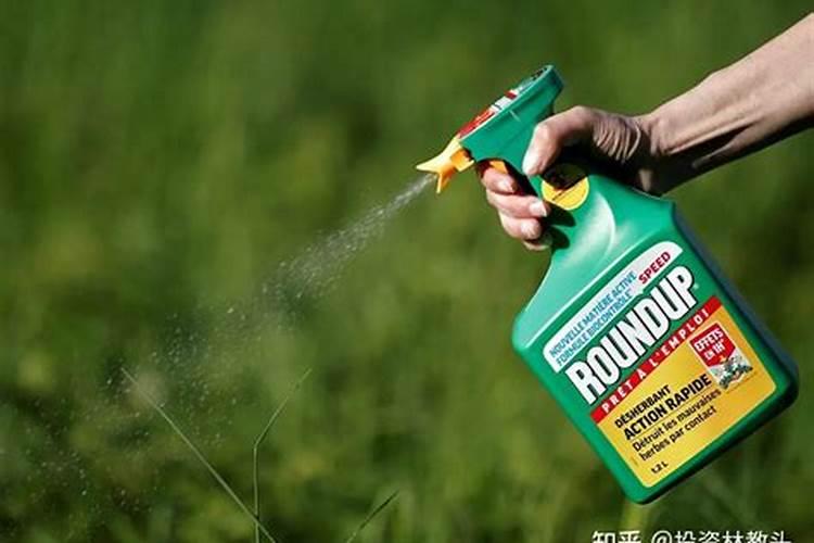 芸苔素和什么叶面肥混用在苗床上比较好？
