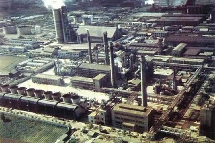 甘肃鼎盛化肥有限公司邯郸分公司怎么样？