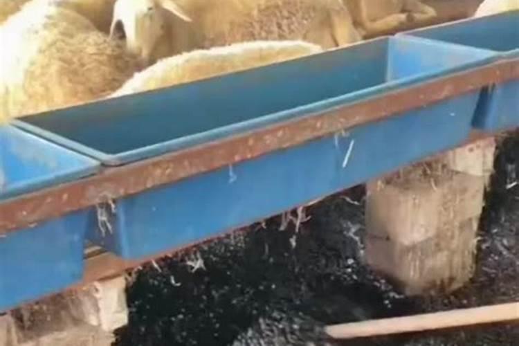 铵态氮肥为什么要深施覆土 铵态氮肥有哪些