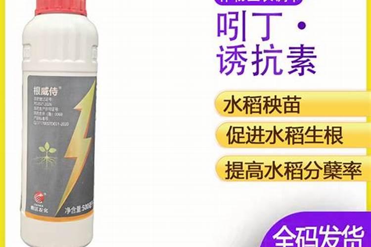 那些水稻种植大户,都是如何解决后期水稻打药追肥问题的？