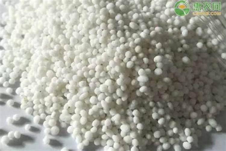 苹果树第一次打什么农药？