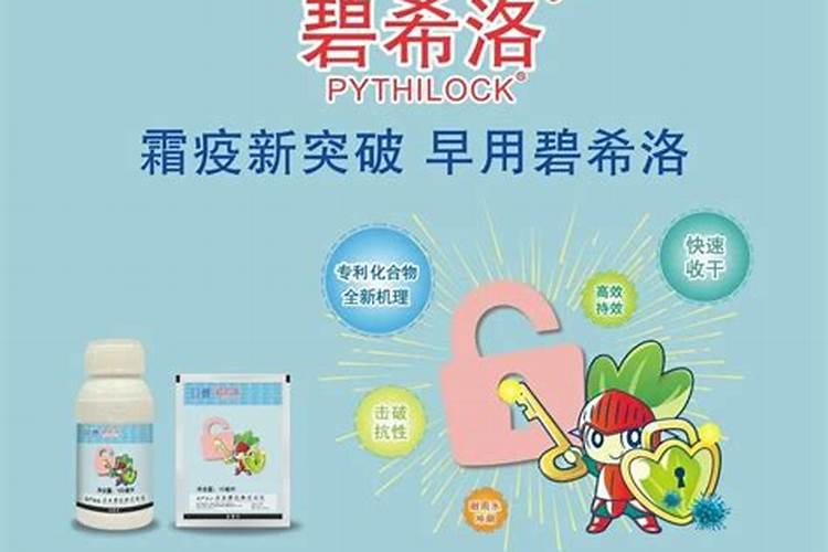 芹菜叶面大,晚上露水大,芹菜倒歪有方法吗？