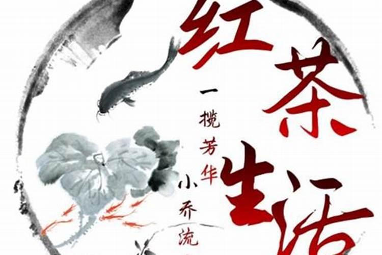 ctc粉可以养花吗