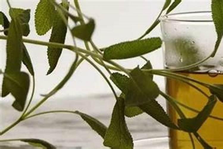 过量使用磷肥有什么害处,施磷肥注意事项