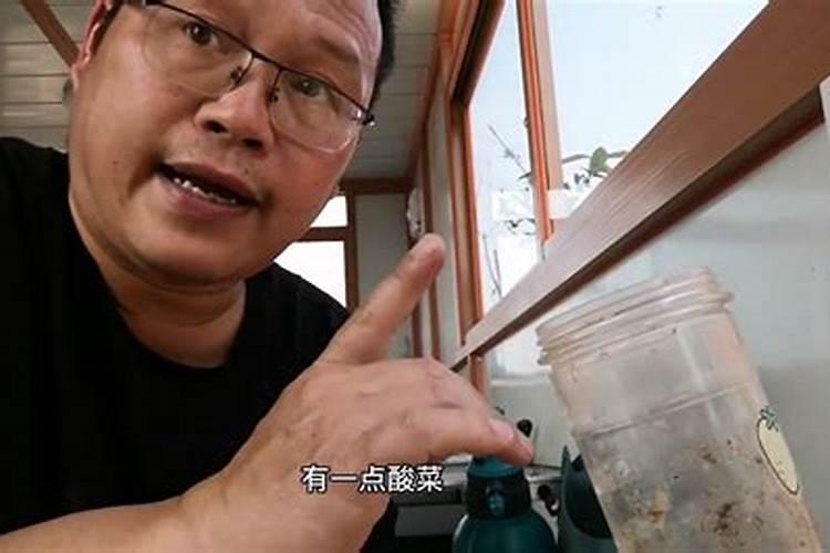 怎样自制发酵肥