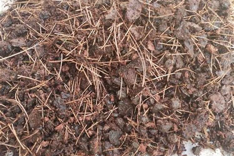 有哪些方法可以腐熟有机肥,常用的方法是怎样的？