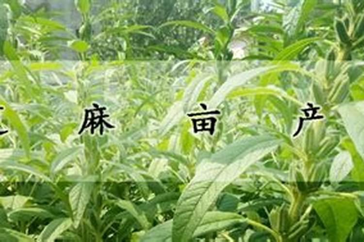 水稻倒伏缺什么的肥