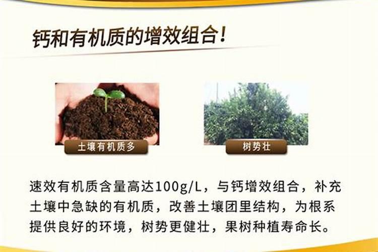 冲施肥是什么意思 冲施肥与水溶肥的区别