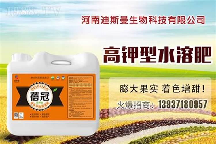 含钾的水溶肥都具备什么特点