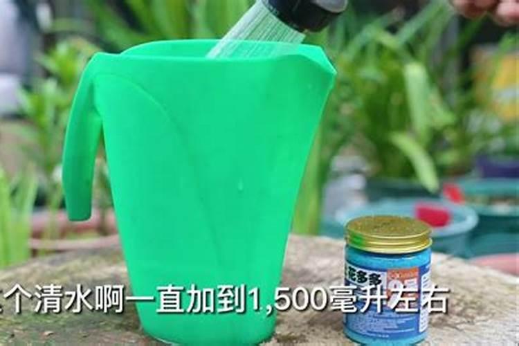 牡丹叶面肥打什么 喷肥注意事项